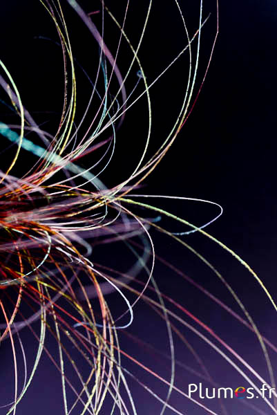 Ciondolo filo pavone - 15-28 cm - arancione-verde naturale